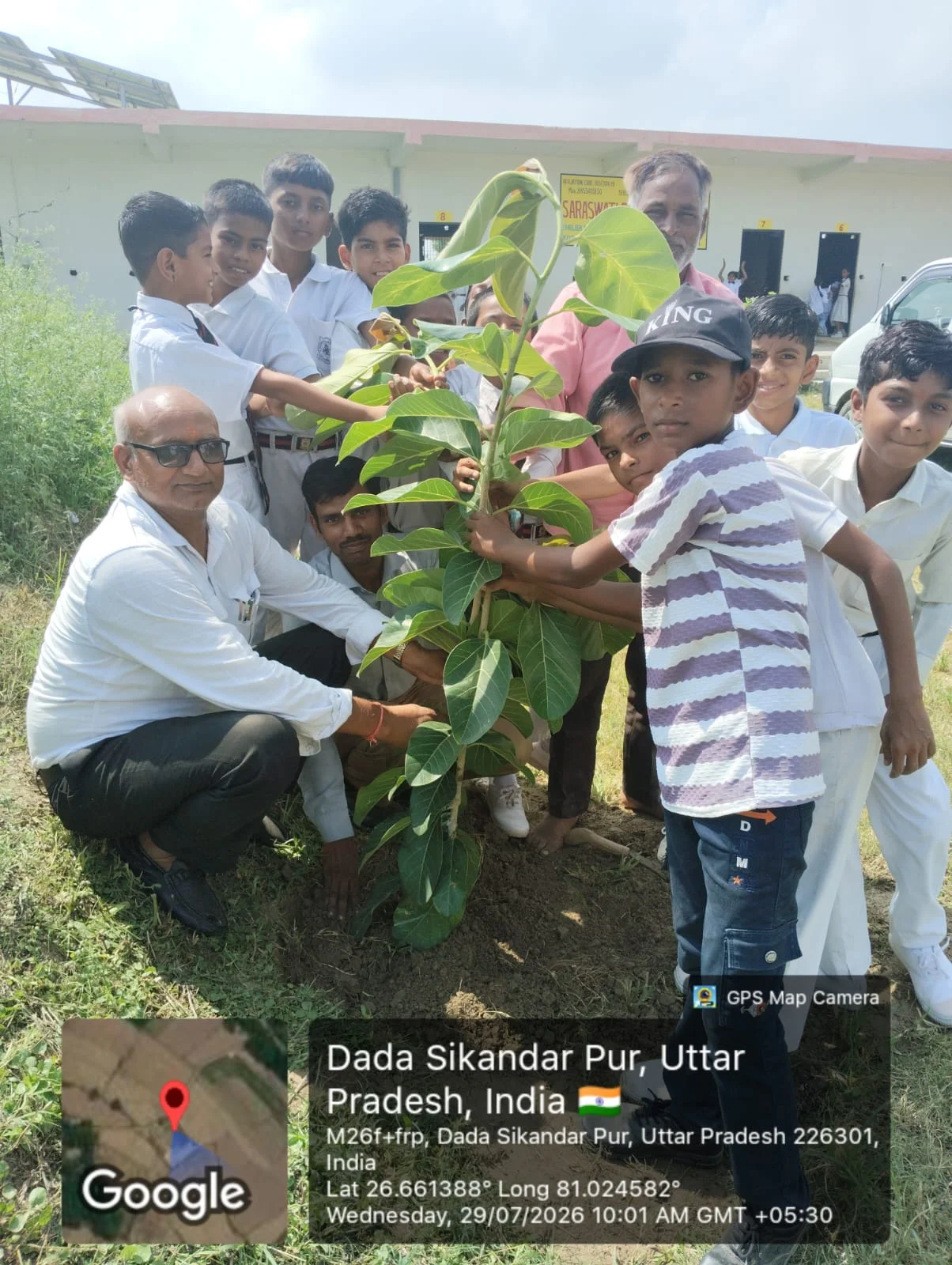 एक पेड़ मां के नाम।